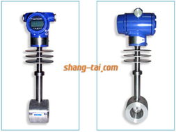 沼气流量计 价格、厂家与照片的选择指南*